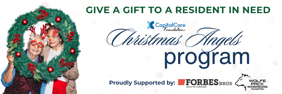 Copy of 2025 Campaigner Christmas Angels (Email Header) (3)